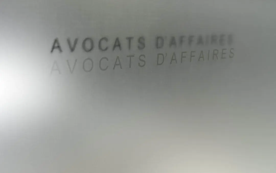 Avocat en Droit des Affaires à Lyon : Votre Partenaire pour la Réussite de Votre Entreprise